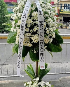 A Light Sympathy Standing